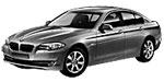 BMW F10 P2265 Fault Code